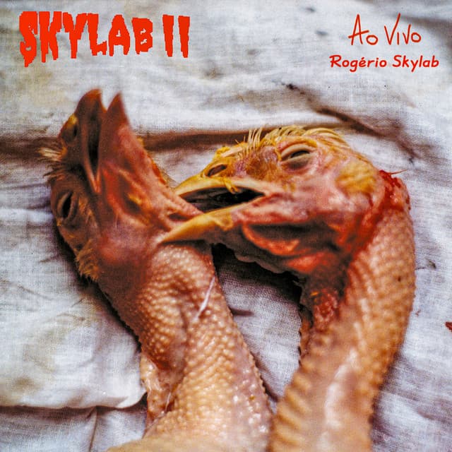 Capa de Skylab II (Ao Vivo)
