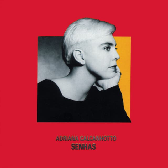 Capa de Senhas