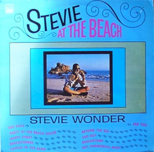 Capa de Stevie at the Beach