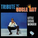Capa de Tribute to Uncle Ray