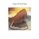 Capa de The Soul Cages