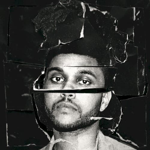 Capa de Beauty Behind the Madness