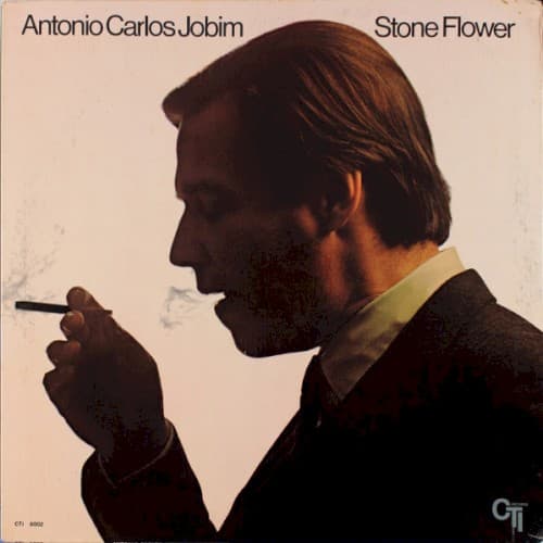 Capa de Stone Flower