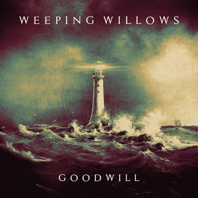 Capa de Goodwill
